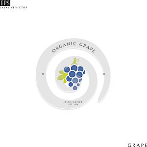 Blue grape with leaf. Logo template